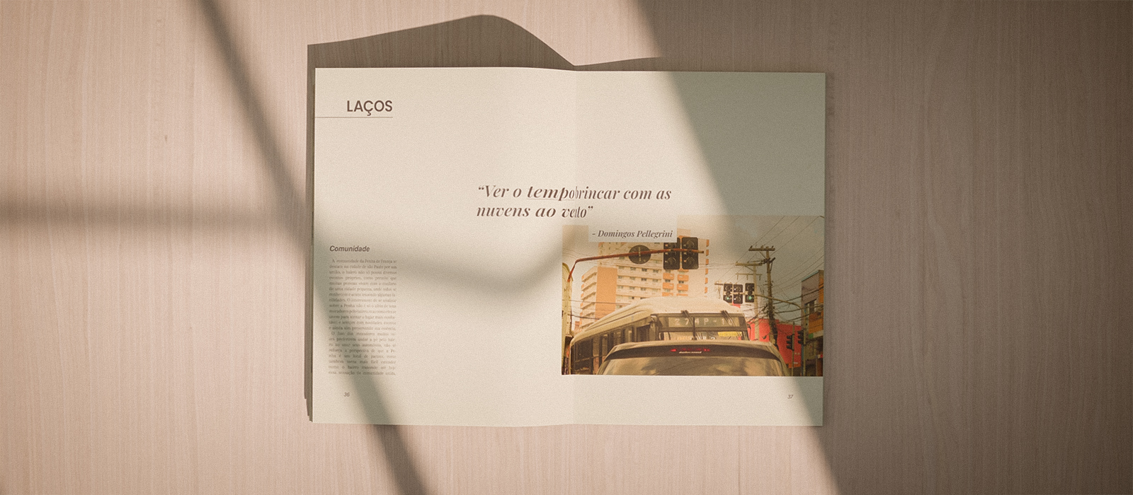 Apresentação zer011